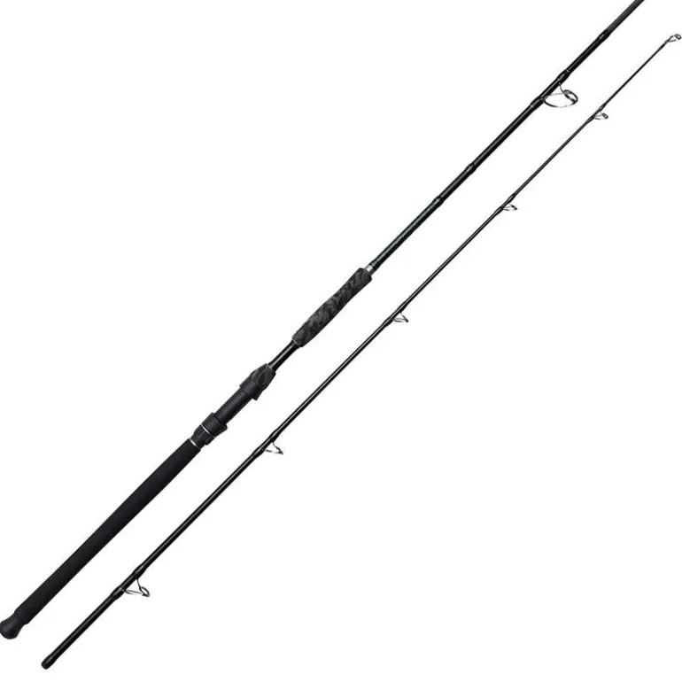 Canne bouée silure madcat black deluxe 3.40m 100-250g