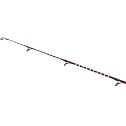 Canne Shimano Power Surf T 450 AX 4.50m  250g