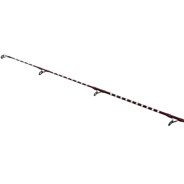 Canne Shimano Power Surf T 425 AX L 4.25m 250g