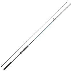 Canne Spinning DAIWA Caldia Seabass 802HFS 2m44 14-42g