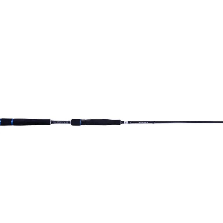 Canne Spinning Evok Prediction SW 2.21m, 7-28g