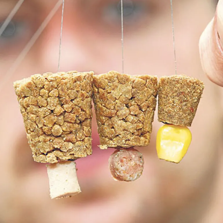 Compresseur à appâts coup guru pellet cones
