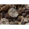 Dumbell Cap River Gold Crayfish pot de 35gr