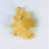 Fly tying plume flanc de canard été jmc