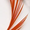 Fly tying plumes goose biot jmc