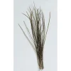 Fly tying plumes jmc herl de paon