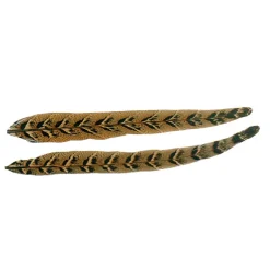 Fly tying plumes jmc queue de faisane