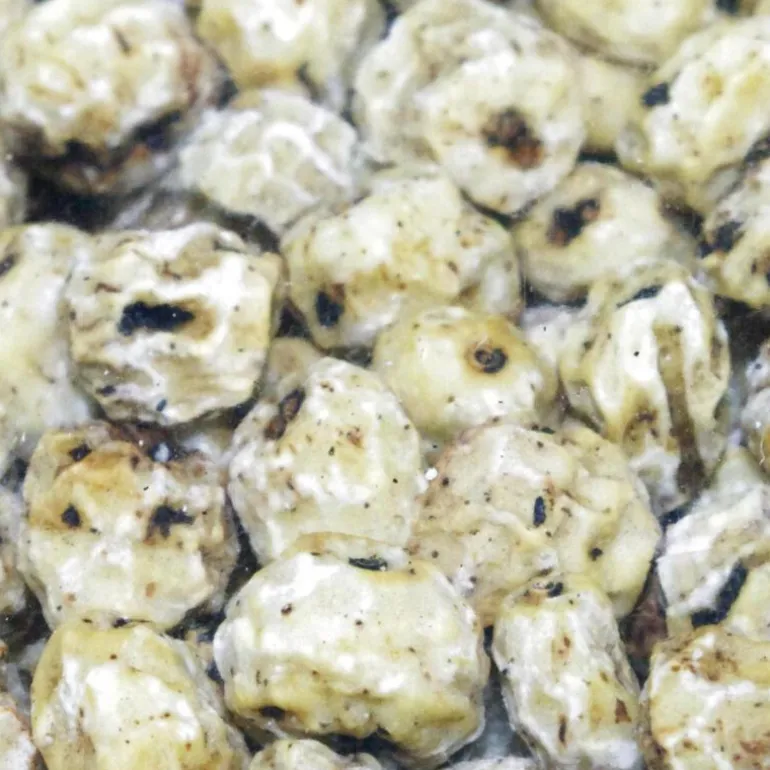 Graines sèches carpe active baits skinned tigernuts