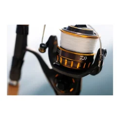 Moulinet daiwa bg black gold 5000