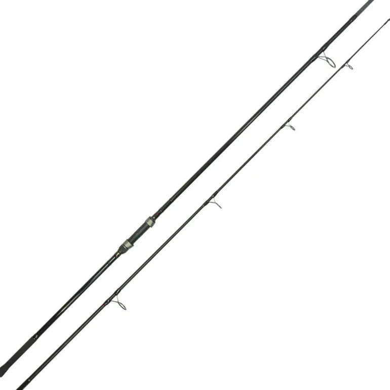 Pack 2 Cannes Carp Addict 10 ft 3.5 lbs + 2 Moulinets 8000 LC + Fourreau