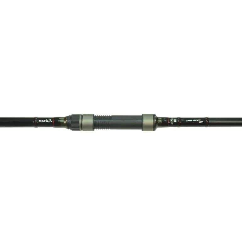 Pack 2 Cannes Carp Addict 10 ft 3.5 lbs + 2 Moulinets 8000 LC + Fourreau