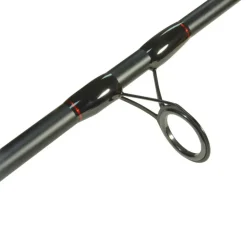 Pack 2 Carp Addict Evo 10' 3.5lbs + 2 Carp Addict 6000 FR + Nylon