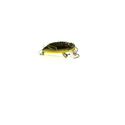 Pack Eco Petit Carnassier V2
