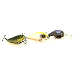 Pack Eco Spinning Perche