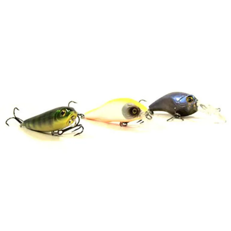 Pack Eco Spinning Perche