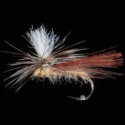 Sedge parachute H16 (x3)